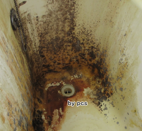 賃貸物件の3点ユニットバス浴槽の重度のカビ汚れの写真