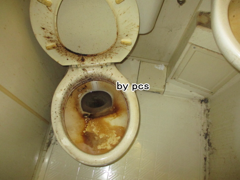 3点ユニットバスのトイレ便器の汚れの写真01