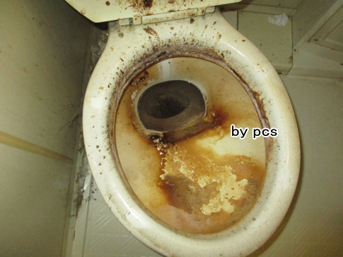 3点ユニットバスのトイレ便器の汚れの写真02