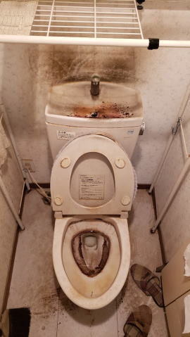 お客様から送信されたトイレの写真01