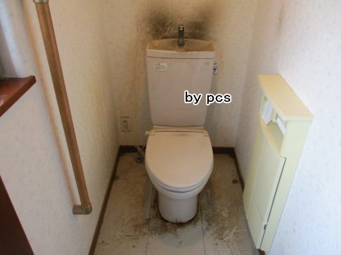 カビと尿石で壁紙クロス、床が汚れたトイレの写真01