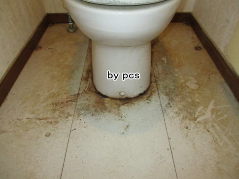汚れたトイレ便器周りの床の写真です01
