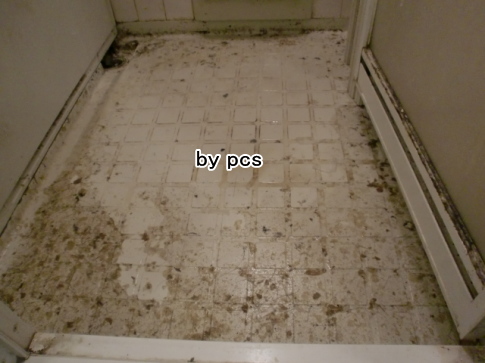 浴室の床がすごいことに
