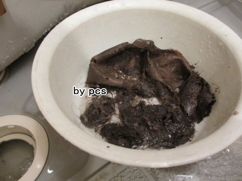 賃貸物件浴槽下の汚れの写真02