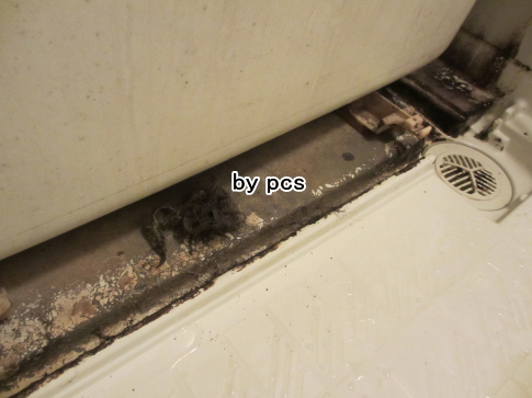 賃貸物件浴槽下の汚れの写真01