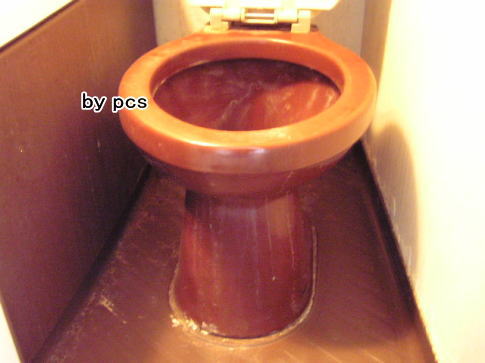 トイレカラー便器の尿石の写真02