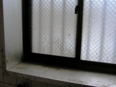 窓ガラスやサッシについたカビ汚れ
