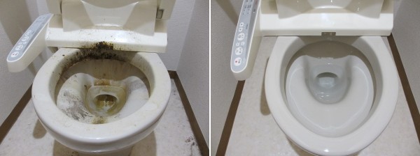 プロの技術、トイレのクリーニング01