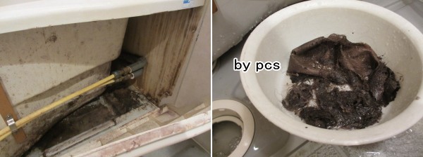 プロの技術、浴槽下の汚れを取る