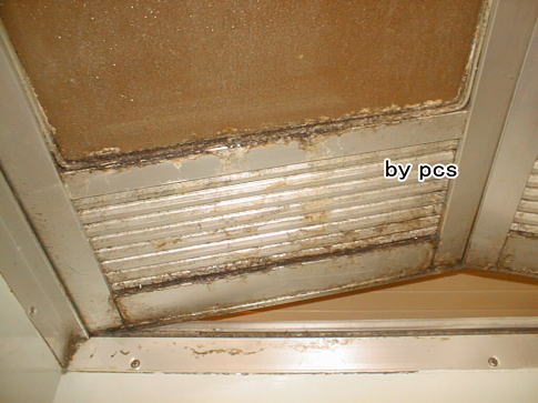 浴室ドアの黒カビ、水垢汚れの写真01