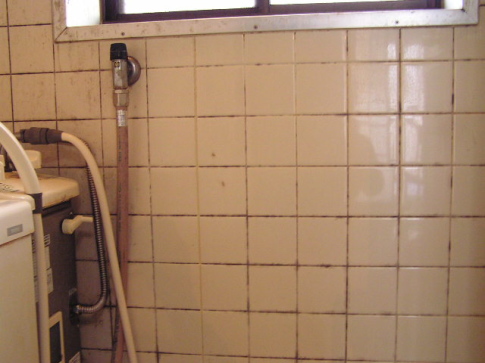 浴室タイル壁の黒カビ