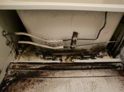 浴槽の下は重度の黒カビ、皮脂汚れ