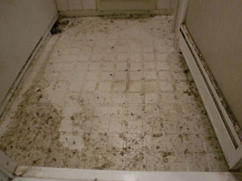 浴室の床とドアが重度の複合汚れ