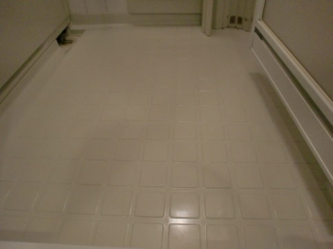 浴室クリーニングで浴室の床とドアを洗浄、殺菌消毒