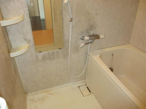 賃貸マンション浴室のカビ汚れの写真01