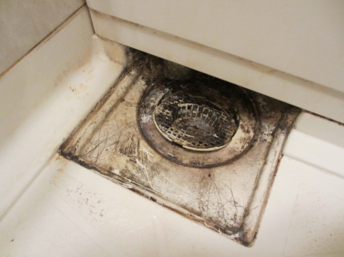 賃貸マンション浴室排水口のカビ汚れ