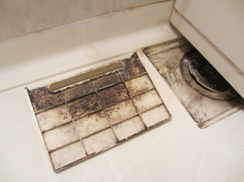 賃貸マンション浴室排水口のカビ汚れ02