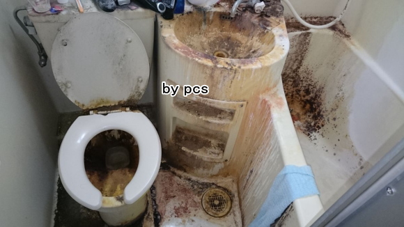 浴室の重度の汚れの写真01