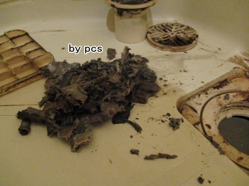 浴室の排水口の汚れの写真01